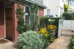 Selection of plants and shrubs within border to front elevation of property. Including climbing rose and clematis, eurphobia, veberna, black eye susans and peach tree.